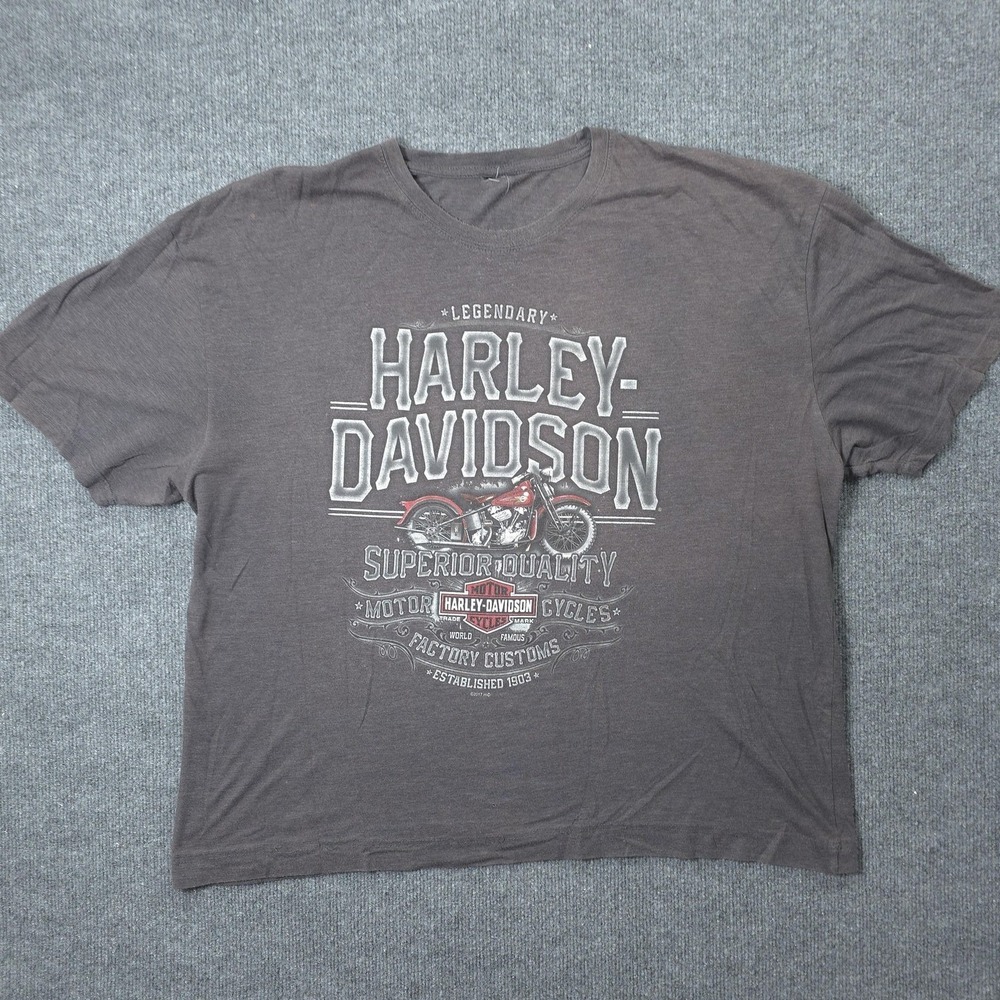 Harley Davidson Shirt Mens XL Gray Woodstock New York Biker Motorcycle Tee Rock